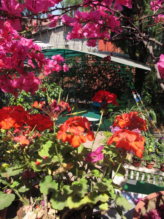 Souvenir Guest House كاتماندو المظهر الخارجي الصورة